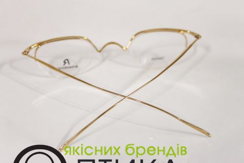 Оправа Rodenstock R 4222 S2 A