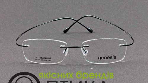Оправа Genesis на втулках IP-Titanium no nicke allergy 16004 c.05