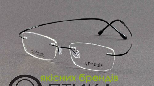 Оправа Genesis на втулках IP-Titanium no nicke allergy 16004 c.05